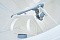 Biodevice ECO 10
